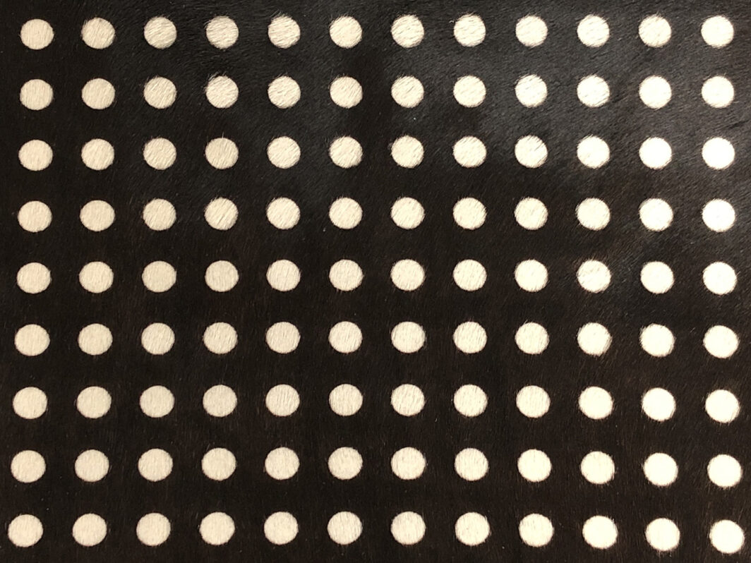 Poil noir à pois blancs