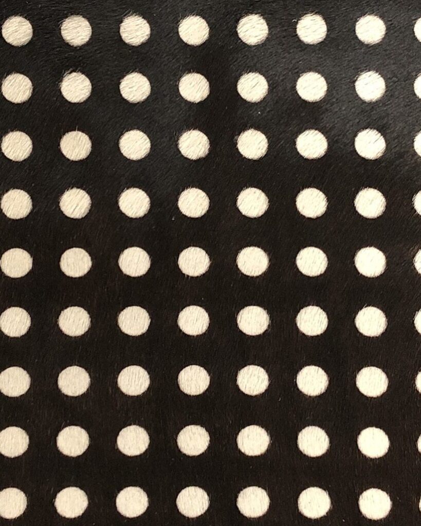 Black coat with white spots